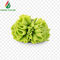 Halal FDA Natural Taste Light Green Pure Wasabi Powder 1kg Pack