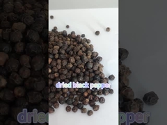 Rempah-rempah dan rempah-rempah kering Pedas Hitam Murah 550GL Pedas Hitam jagung