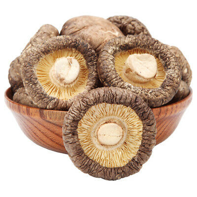 Jamur Shiitake Kering Gizi Tinggi Coklat Tua Untuk Memasak