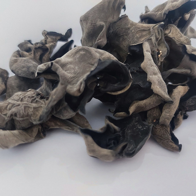 Jamur Kuping Kayu Kering Yang Dapat Dimakan Sehat Kering Alami AD Hitam