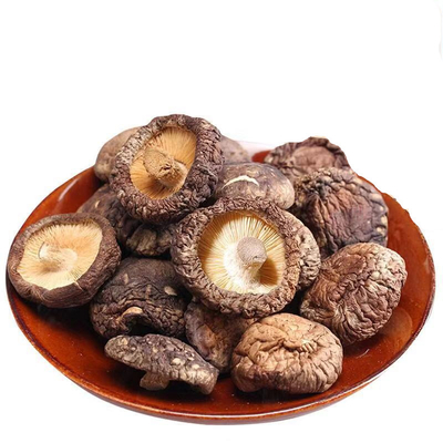 Ukuran Menengah Jamur Shiitake Kering Serpihan Tempat Kering Penyimpanan