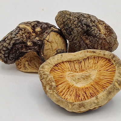 Makanan Sehari-hari Jamur Shiitake Kering Kecokelatan