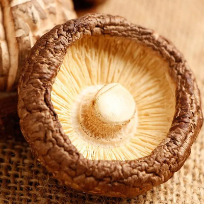 Jamur Shiitake Kering Berprotein Tinggi dengan Rasa Jamur dan Kualitas Tekstur