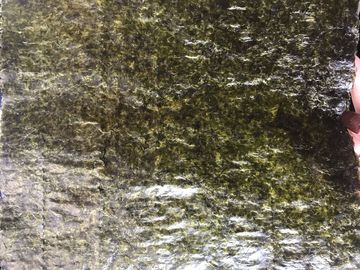 19x21cm Wasabi Flavoured Seaweed, Dry Sushi Nori Seaweed Sheets