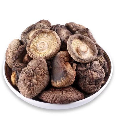 Jamur Brown Berbentuk Datar Dingin Berprotein Tinggi