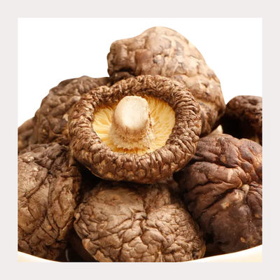 Potongan Shiitake Kering Untuk Rasa Jamur yang Kaya Dalam Memasak