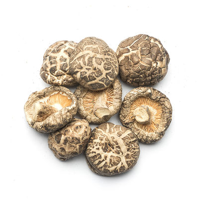 Jamur Shiitake Flat yang Dikeringkan untuk Kuliner