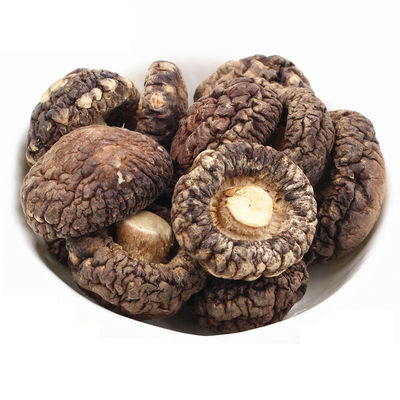 Jamur Shiitake Tumpuk Beraroma Jamur