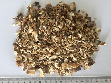 Shiitake Dehydrated Mushrooms Granules Ukuran 10x10mm Dengan Cita Rasa Alami