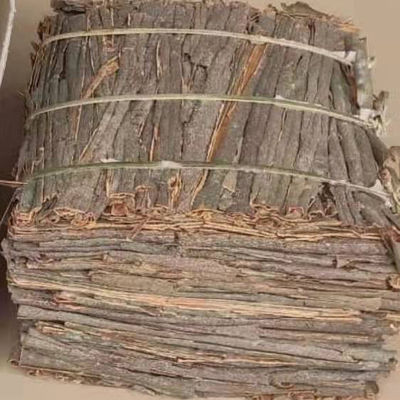Natural Cinnamon Stick Rempah-rempah dan Ramuan Pengeringan Cassia